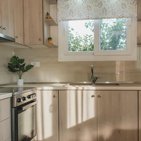 Niaros' House דירה